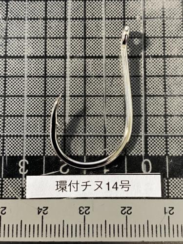 環付きチヌ14号イワシ泳がせハタ狙い