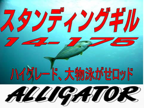 アリゲータースタンディングギル14-175大物泳がせロッドオーダー
