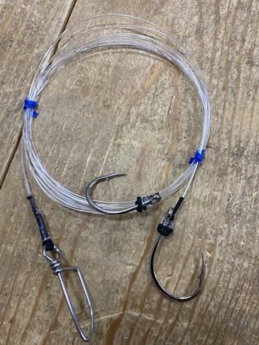 アカイカ泳がせ固定式仕掛60号/3m最強仕掛け