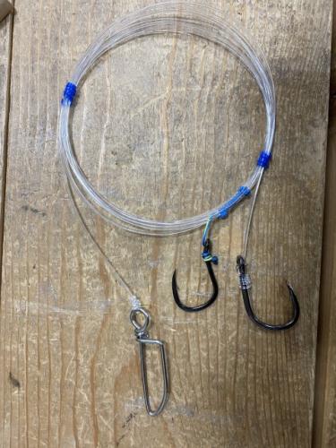 アカイカ泳がせ60号誘導仕掛けお買い得コスパ仕様