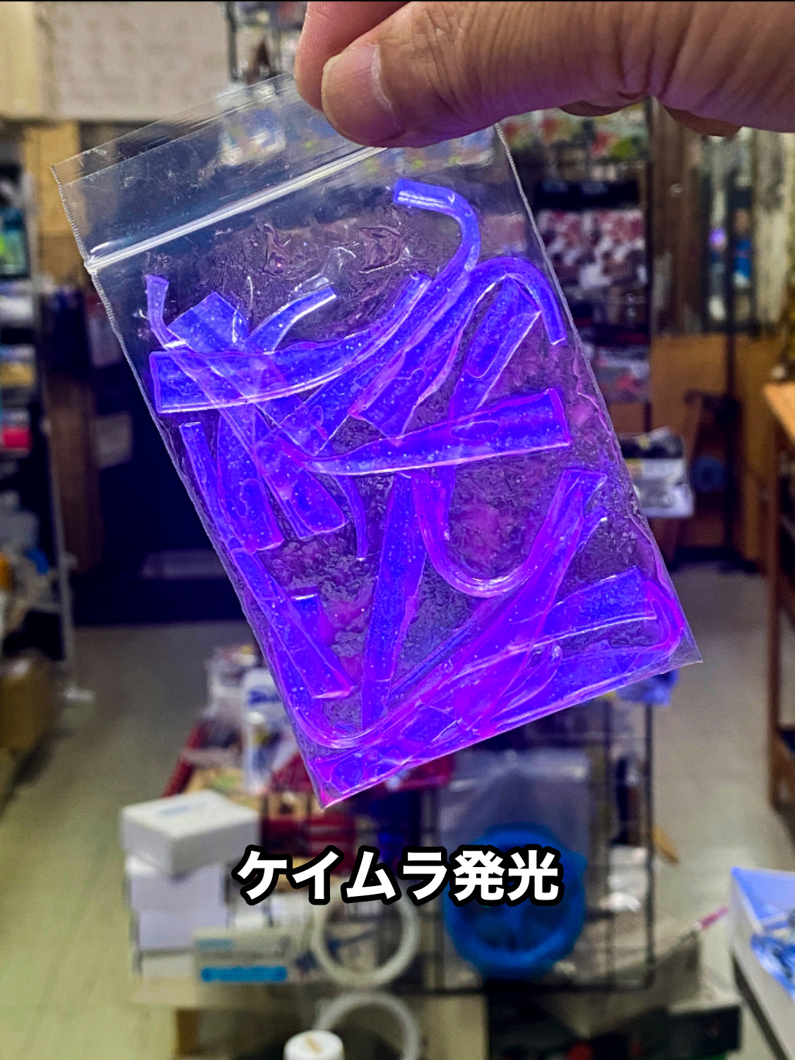 イカタンワームバケ（オキアミ）