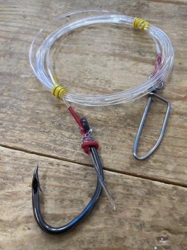 クエ、モロコ泳がせ仕掛け80号2m/スーパークエ35号スナップ付