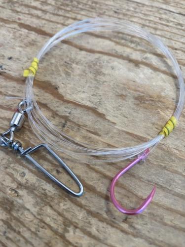 お買い得!コマセのカツオ仕掛け18号1.5m