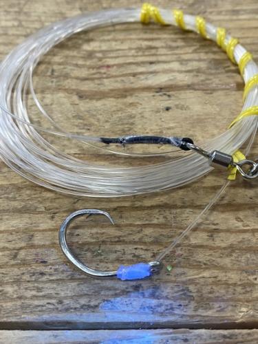 相模湾コマセキハダ仕掛け26号10mフリーノットオキアミマグロ使用